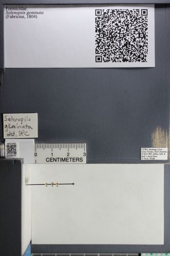 Media type: image;   Entomology 588574